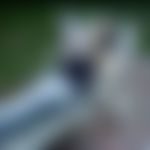 jeanspi** und schlammbad