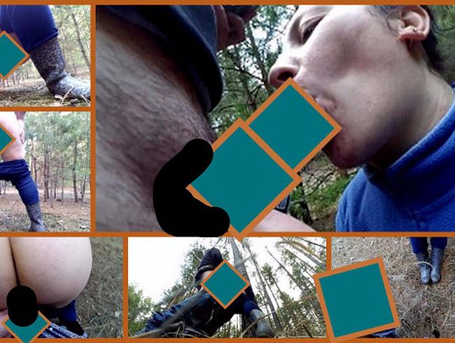 pi** in the forest (2)