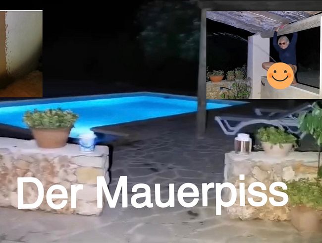 Der Mauerpi**