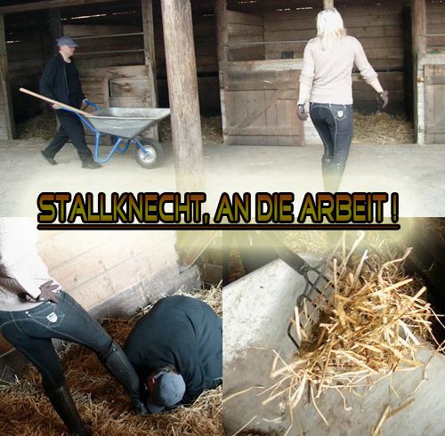 Stallknecht muss Ausmisten