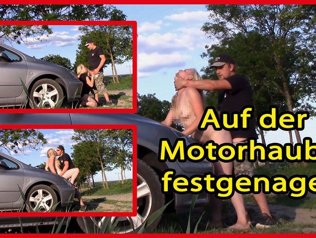 Auf der Motorhaube festgenagelt