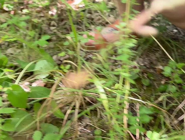 Ich pi**e in die Natur