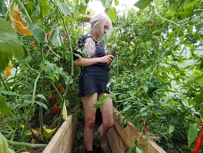 Geile Triebe im Gewächshaus… Was wächst dann hier alles?