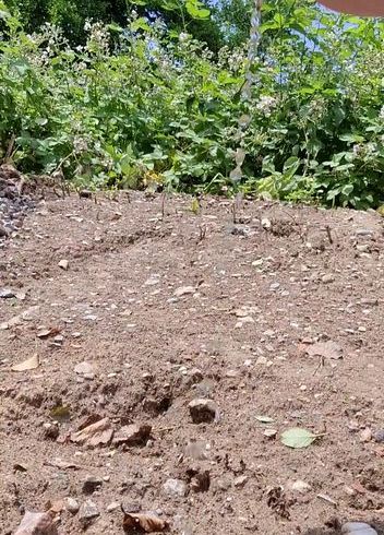 pi** Alarm im Freien