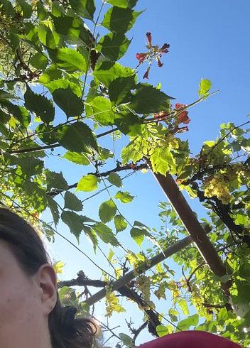 Kleines pi*i Video im Garten mit abputzen