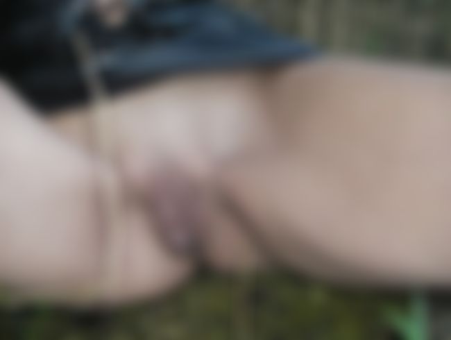 Auf der grünen Wiese...2