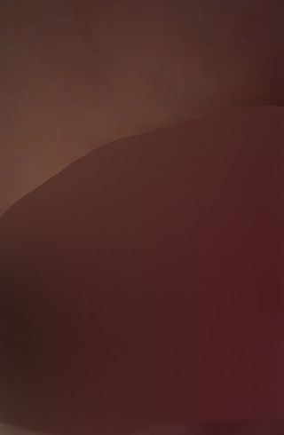 30cm ana*plug inside