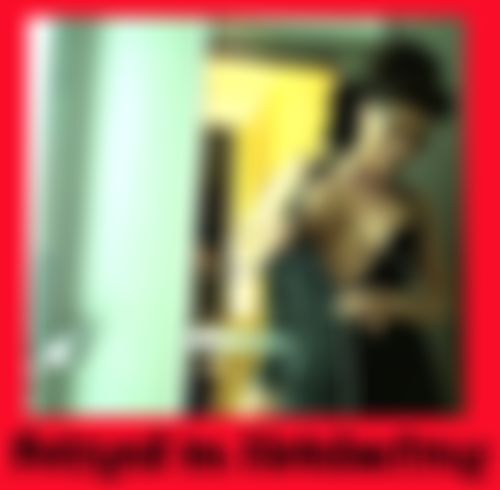 fo**geil im Hotelaufzug in Austria