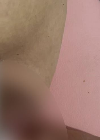 wer möchte mir zur Hand gehen