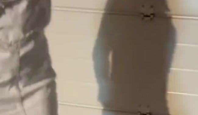 Heißer bl*wjob mit Cum***t