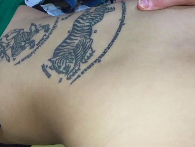 dog*y ist eine gute sache