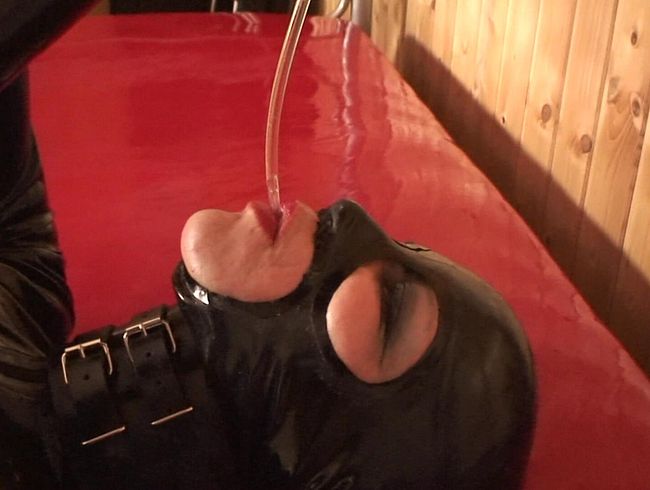 Katheter und Speku**m